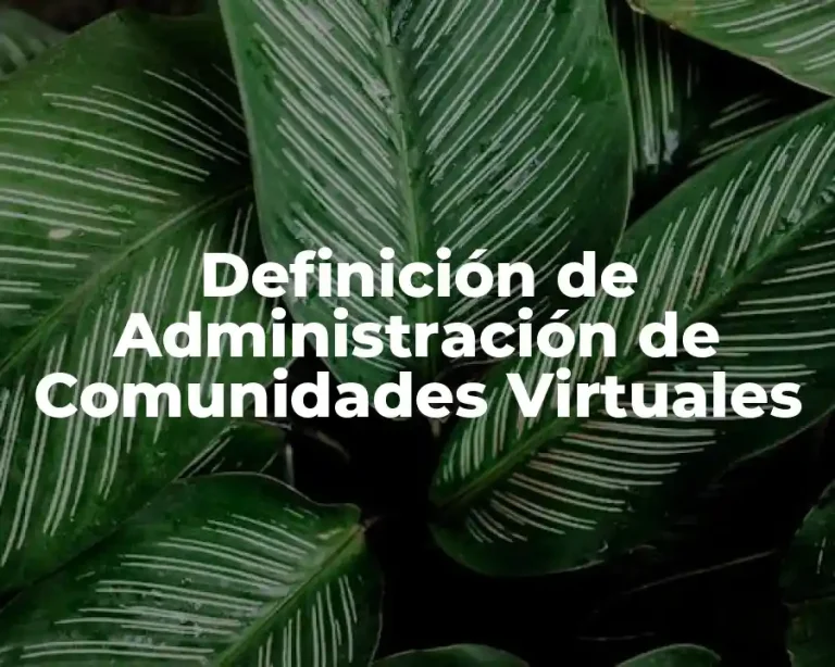 Definición de Administración de Comunidades Virtuales