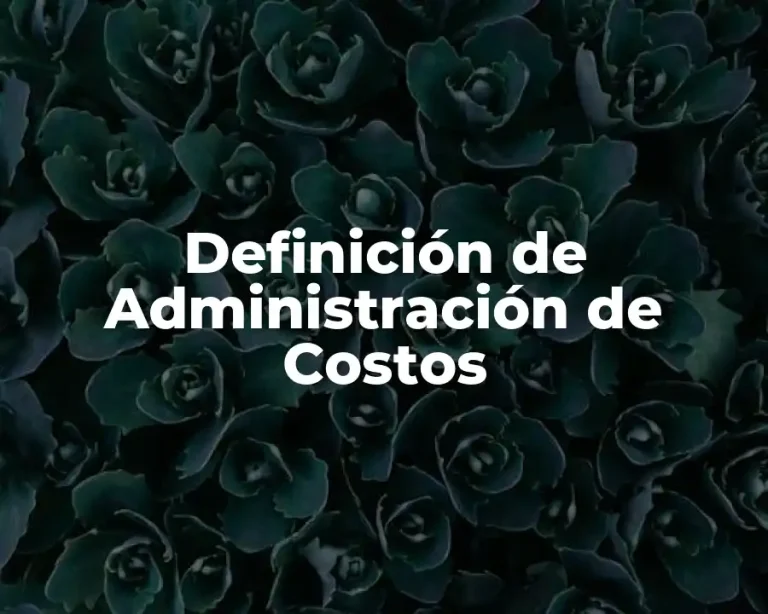 Definición de Administración de Costos
