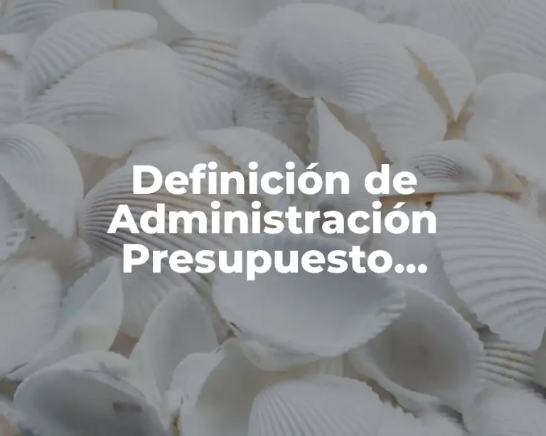 Definición de Administración Presupuesto Contabilidad y Controloria