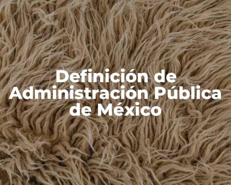 Definición de Administración Pública de México