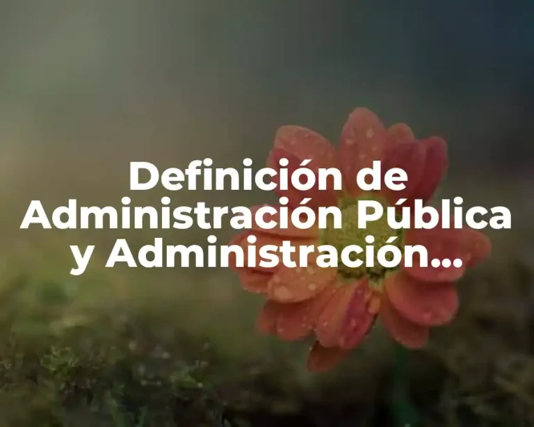 Definición de Administración Pública y Administración Privada