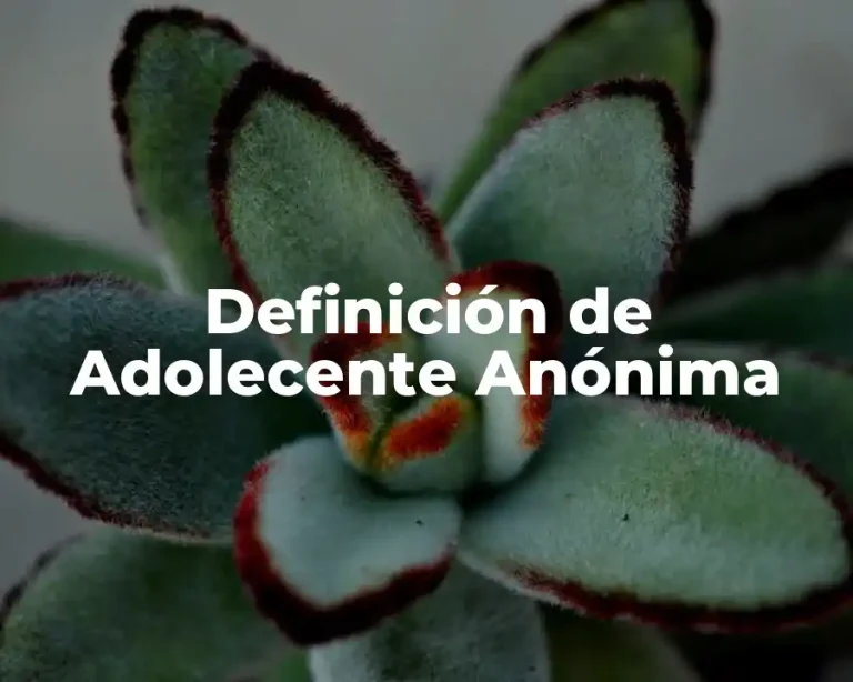 Definición de Adolecente Anónima