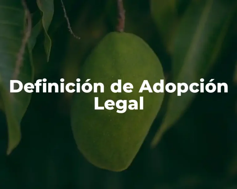 Definición de Adopción Legal