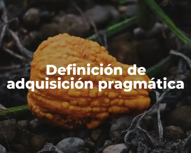 Definición de adquisición pragmática
