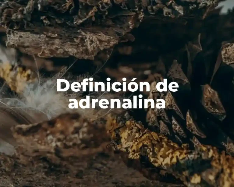 Definición de adrenalina
