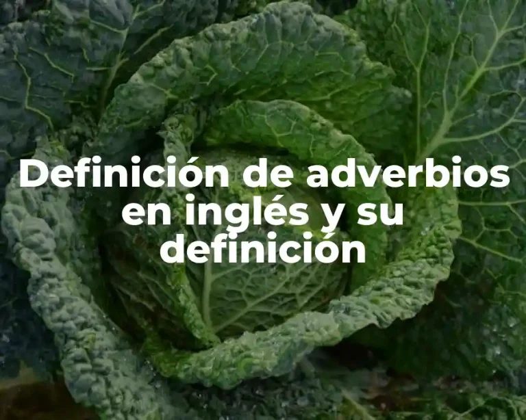 Definición de adverbios en inglés y su definición