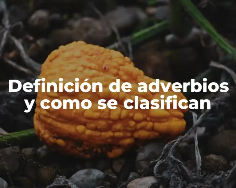 Definición de adverbios y como se clasifican