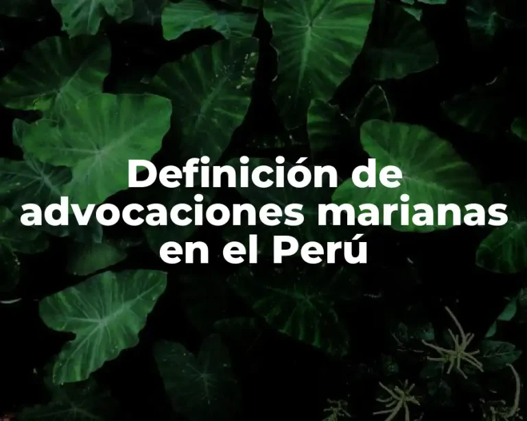 Definición de advocaciones marianas en el Perú