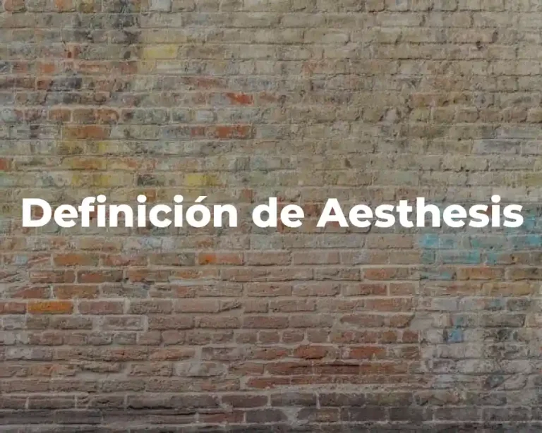 Definición de Aesthesis