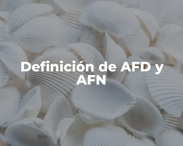 Definición de AFD y AFN