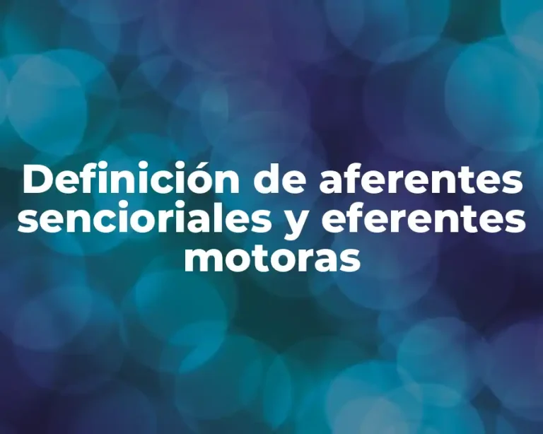 Definición de aferentes sencioriales y eferentes motoras