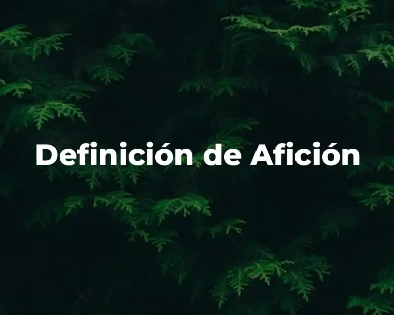 Definición de Afición