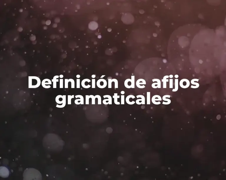 Definición de afijos gramaticales