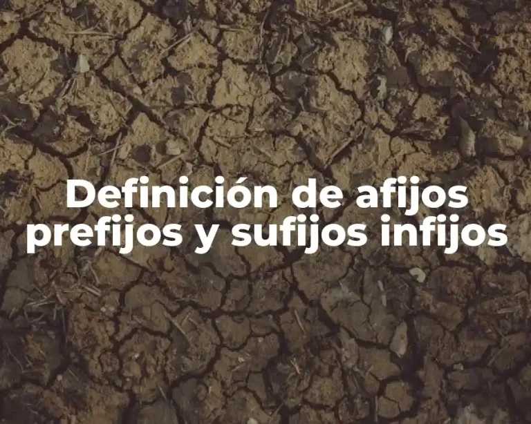 Definición de afijos prefijos y sufijos infijos