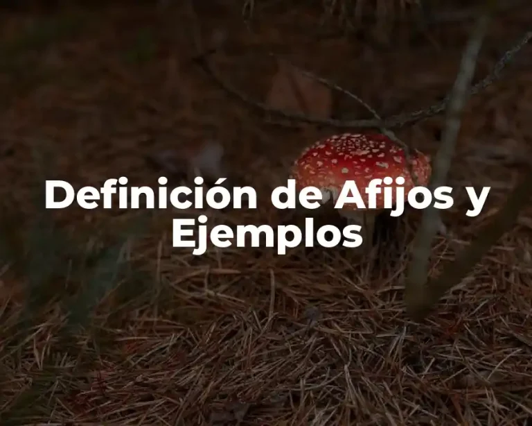 Definición de Afijos y Ejemplos