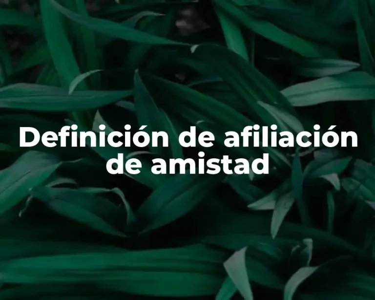 Definición de afiliación de amistad