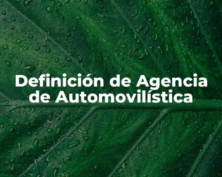 Definición de Agencia de Automovilística