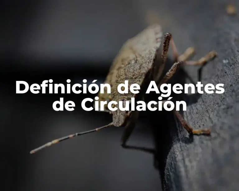 Definición de Agentes de Circulación