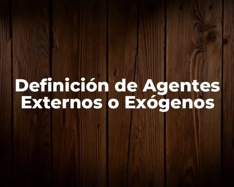 Definición de Agentes Externos o Exógenos