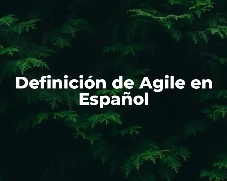 Definición de Agile en Español