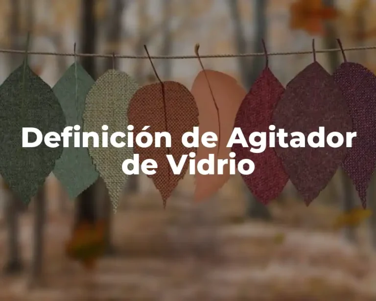 Definición de Agitador de Vidrio