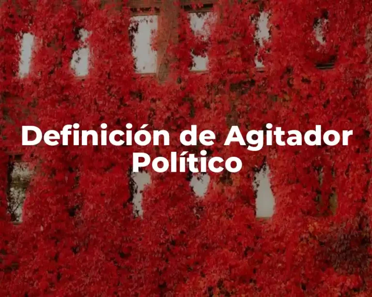 Definición de Agitador Político