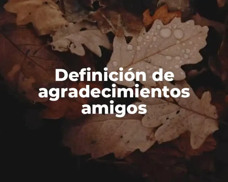 Definición de agradecimientos amigos