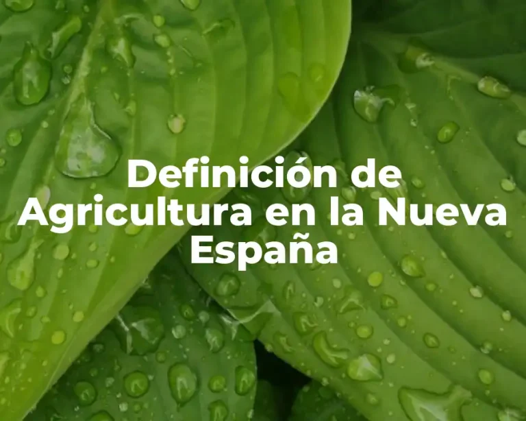 Definición de Agricultura en la Nueva España