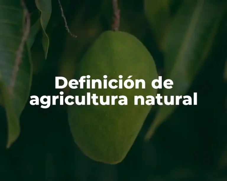 Definición de agricultura natural