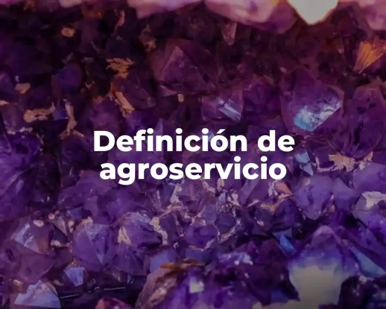 Definición de agroservicio