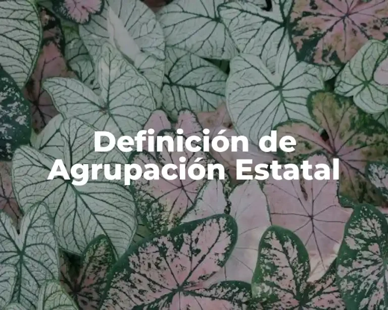 Definición de Agrupación Estatal