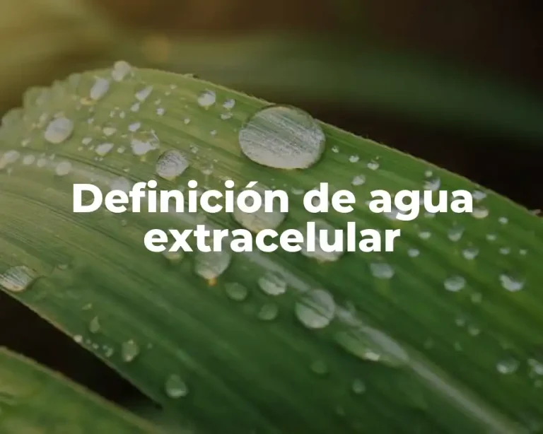 Definición de agua extracelular