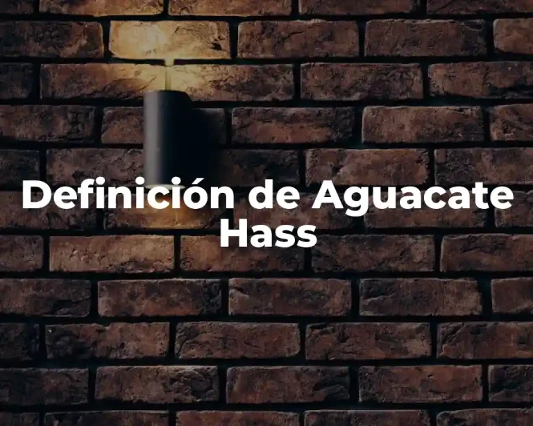Definición de Aguacate Hass