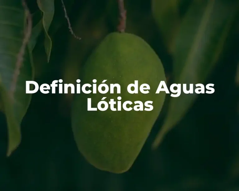 Definición de Aguas Lóticas