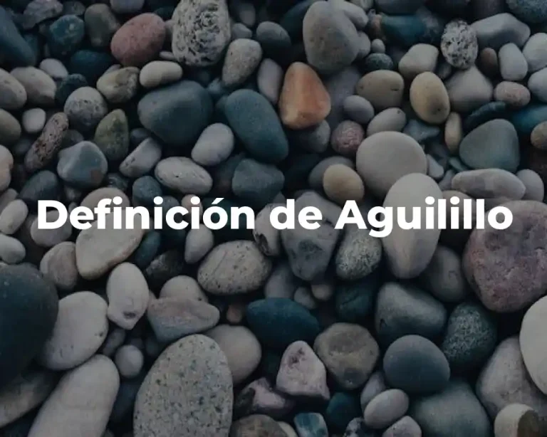 Definición de Aguilillo