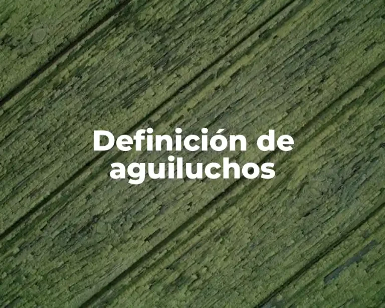 Definición de aguiluchos