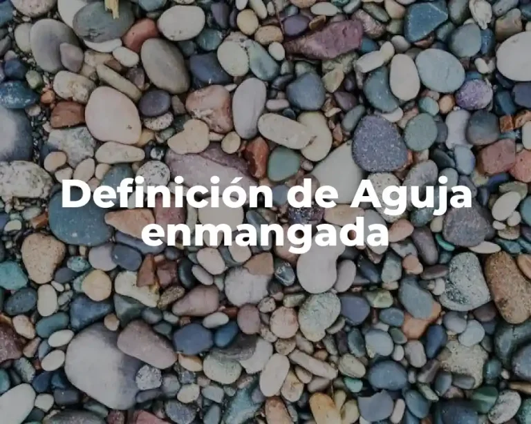 Definición de Aguja enmangada