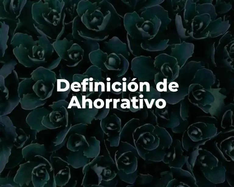 Definición de Ahorrativo