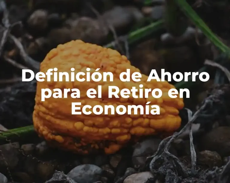 Definición de Ahorro para el Retiro en Economía