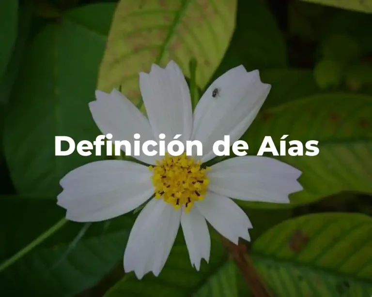Definición de Aías