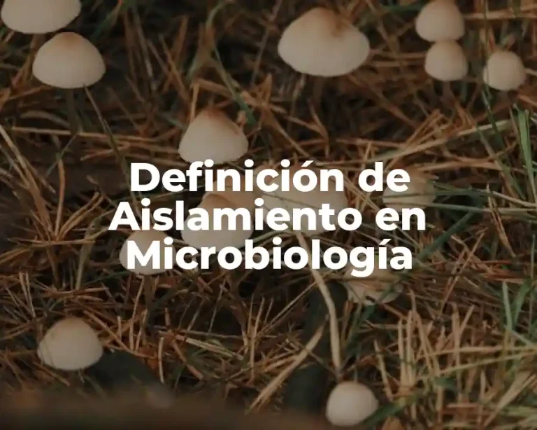 Definición de Aislamiento en Microbiología