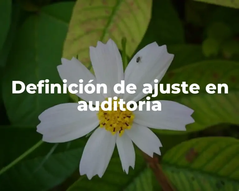 Definición de ajuste en auditoria