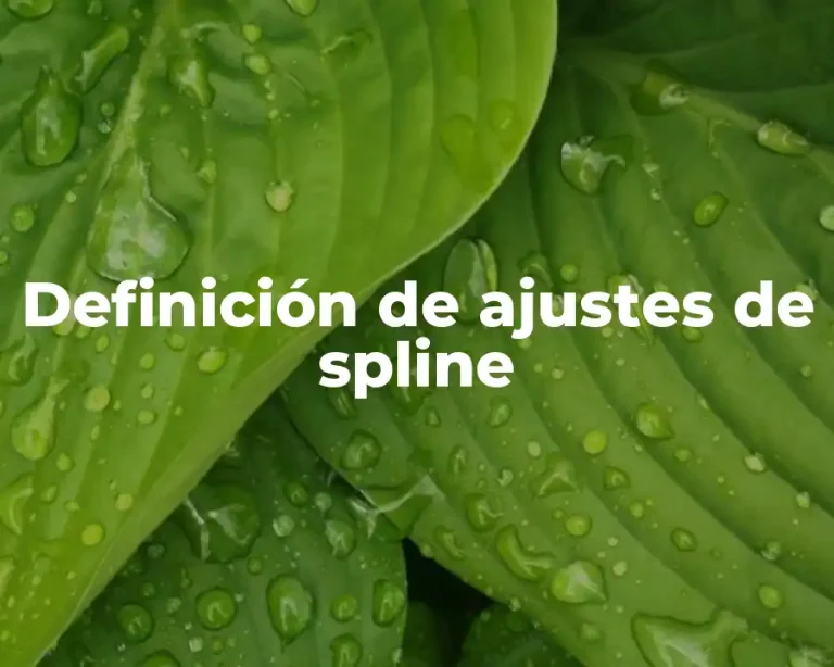 Definición de ajustes de spline
