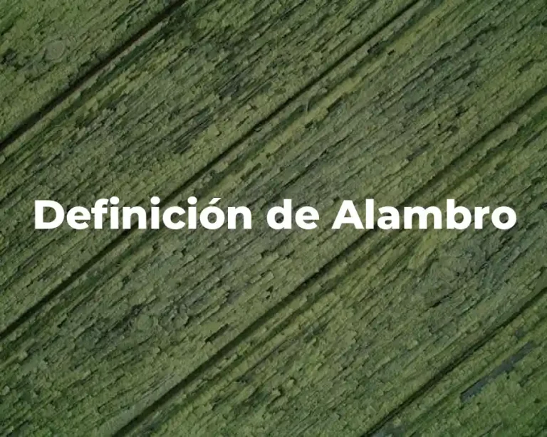 Definición de Alambro