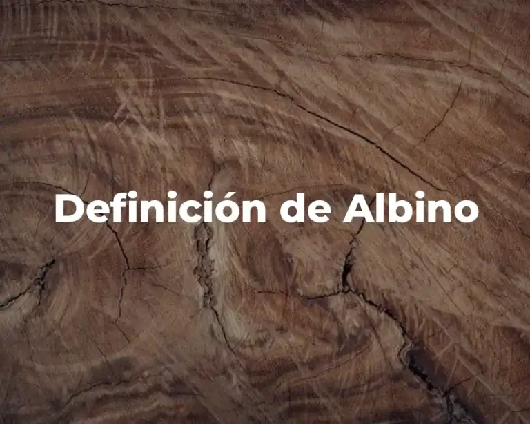 Definición de Albino