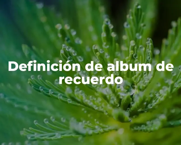 Definición de album de recuerdo