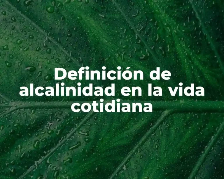 Definición de alcalinidad en la vida cotidiana
