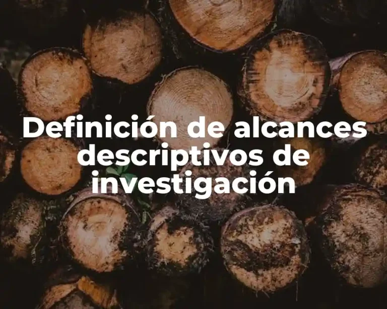 Definición de alcances descriptivos de investigación