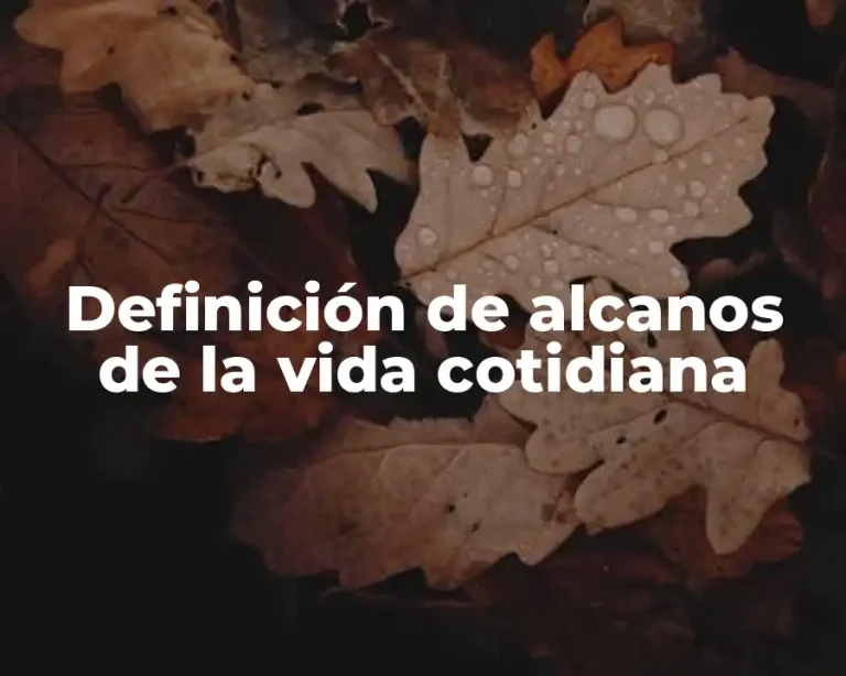 Definición de alcanos de la vida cotidiana