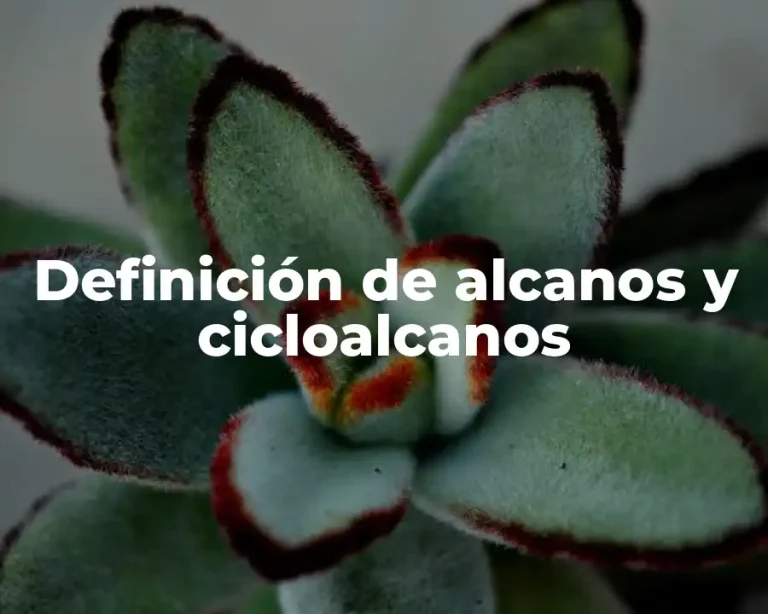 Definición de alcanos y cicloalcanos